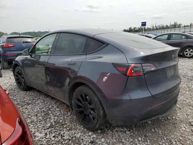 2021 TESLA MODEL Y - 5YJYGDEE3MF092836