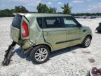 KIA SOUL + photo