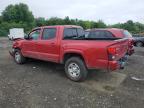 TOYOTA TACOMA DOU photo