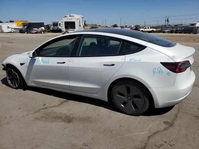 2023 TESLA MODEL 3 - 5YJ3E1EA5PF512838