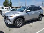 2023 HYUNDAI TUCSON BLU - KM8JBCA1XPU100368