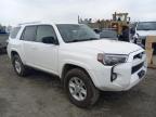 TOYOTA 4RUNNER SR photo