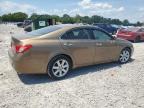 LEXUS ES 350 photo