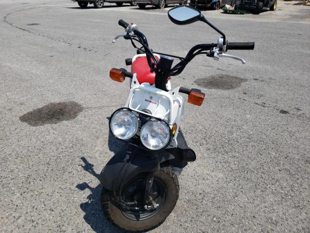 2019 HONDA NPS50 JH2AF5814KK701314