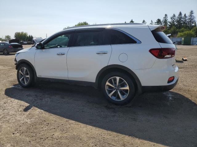 2019 KIA SORENTO 5XYPHDA56KG491146