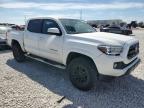 TOYOTA TACOMA DOU photo