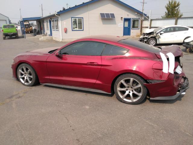 2019 FORD MUSTANG - 1FA6P8TH7K5143979