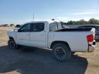 TOYOTA TACOMA DOU photo