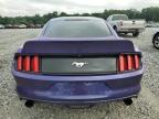 FORD MUSTANG photo