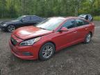 2017 HYUNDAI SONATA SE - 5NPE24AF1HH495818