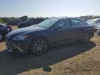 2024 LEXUS ES 350 BAS - 58ADZ1B16RU168058