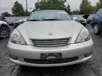 LEXUS ES 300 photo