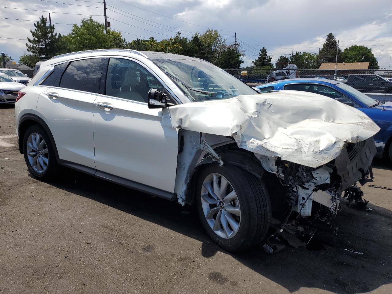 Lot #2907608636 2022 INFINITI QX50 LUXE