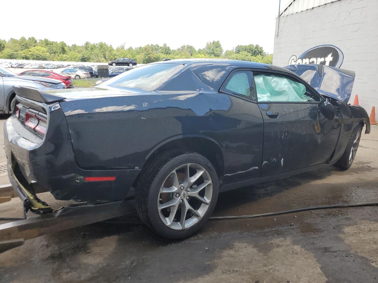 Lot #2779560599 2023 DODGE CHALLENGER