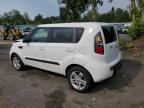 KIA SOUL + photo