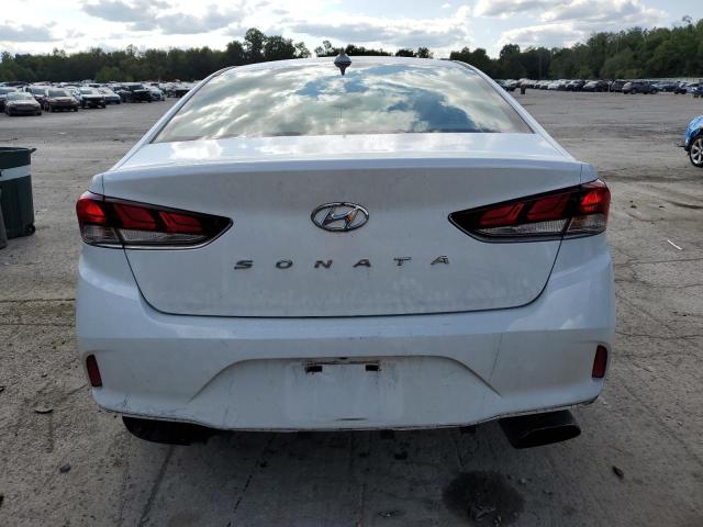 VIN 5NPE34AF3KH818142 2019 HYUNDAI SONATA no.6