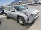 TOYOTA RAV4 LE photo