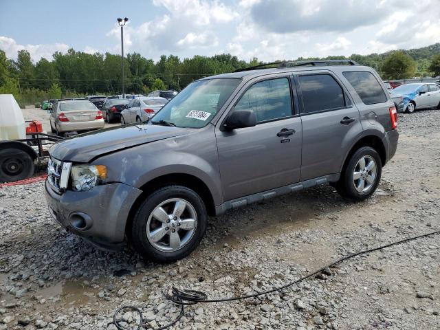 2011 FORD ESCAPE XLT 2011