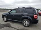 FORD ESCAPE XLT снимка