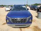 Lot #3023828917 2023 HYUNDAI TUCSON SEL