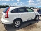 HONDA CR-V EXL photo