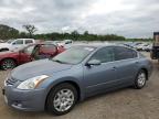 NISSAN ALTIMA BAS photo