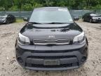 KIA SOUL photo