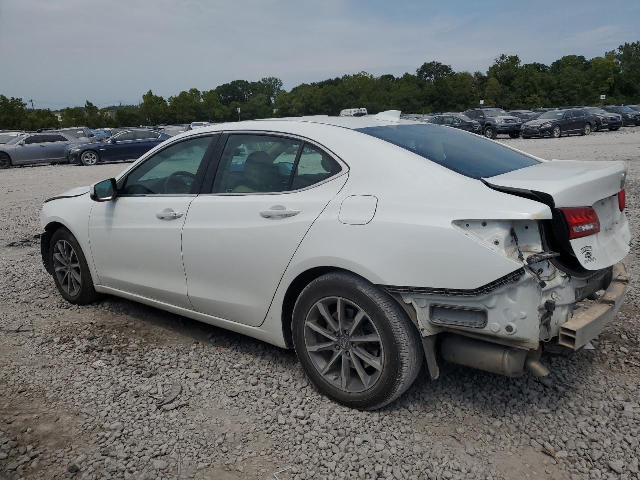 Lot #2955532598 2020 ACURA TLX