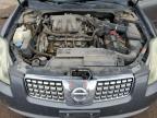 NISSAN MAXIMA SE photo