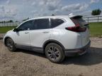 HONDA CR-V EX photo