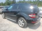 MERCEDES-BENZ ML 350 photo