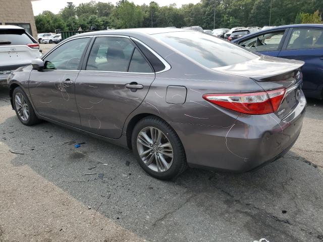 2016 TOYOTA CAMRY LE - 4T1BF1FK8GU141919