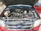 FORD ESCAPE XLT photo