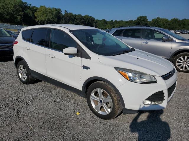 2015 FORD ESCAPE SE - 1FMCU0GX0FUB55682
