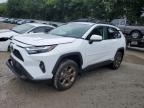 2023 TOYOTA RAV4 WOODL - 2T3UWRFV9PW157426