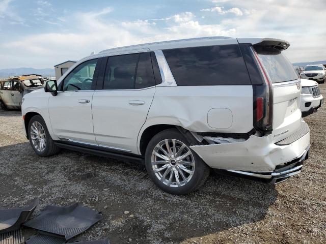 2023 CADILLAC ESCALADE P - 1GYS4CKL4PR292662