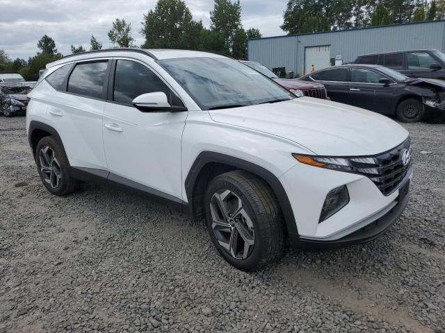 2023 HYUNDAI TUCSON SEL - 5NMJFCAE5PH219108