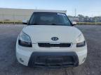 KIA SOUL + photo