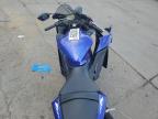 Lot #3025184254 2024 YAMAHA YZFR3 A