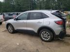 FORD ESCAPE SE photo