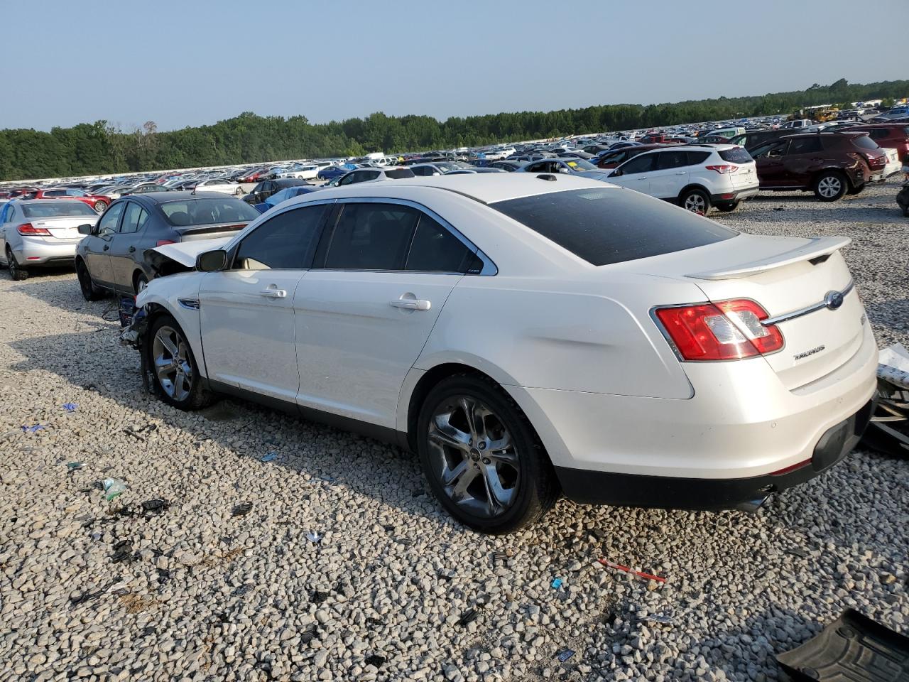 Lot #2811640000 2010 FORD TAURUS SHO