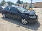 KIA FORTE EX photo