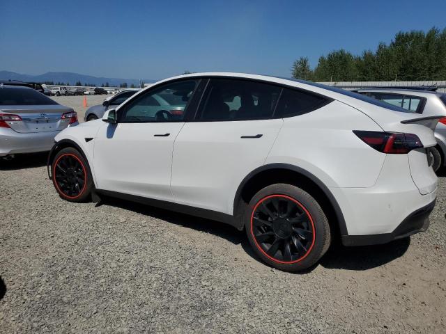 2024 TESLA MODEL Y - 7SAYGDEE0RF044656