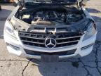 MERCEDES-BENZ ML 250 BLU photo