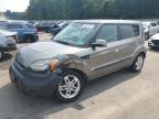 KIA SOUL + photo