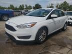 FORD FOCUS SE photo