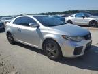 KIA FORTE EX photo