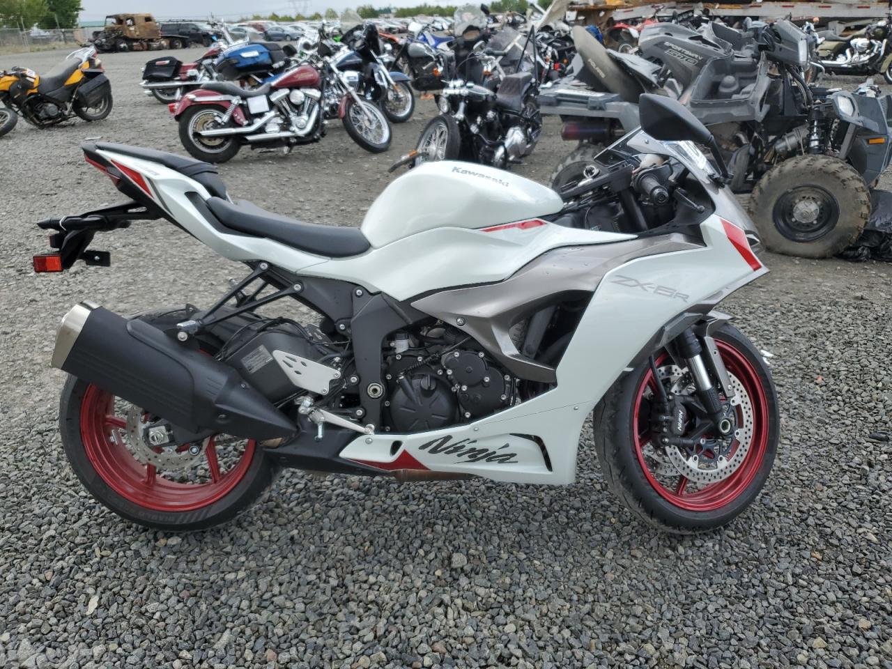 Kawasaki Ninja ZX-6R 2024 ZX636KR