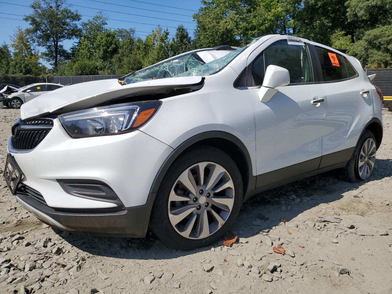 Lot #2972318527 2020 BUICK ENCORE PRE