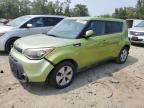 KIA SOUL photo